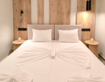 villa-elegant-opshto-43567